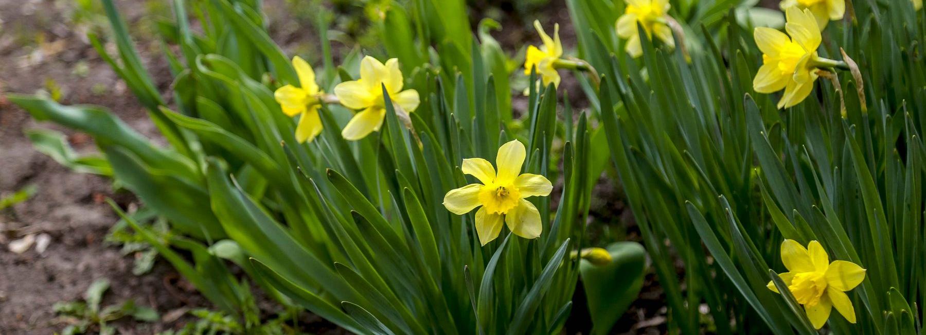 Как отдыхаем и работаем в мае 2025 года: все выходные и праздники