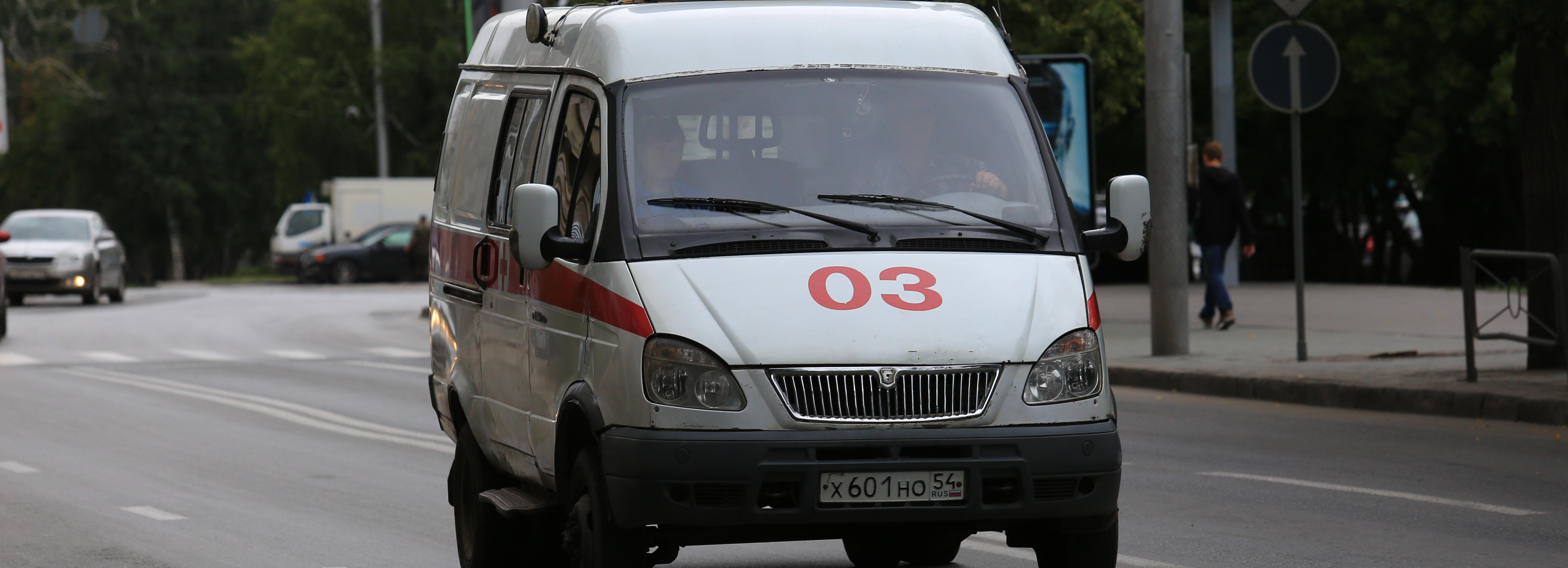 Вспышки сальмонеллёза зарегистрировали в Новосибирске в 2024 году