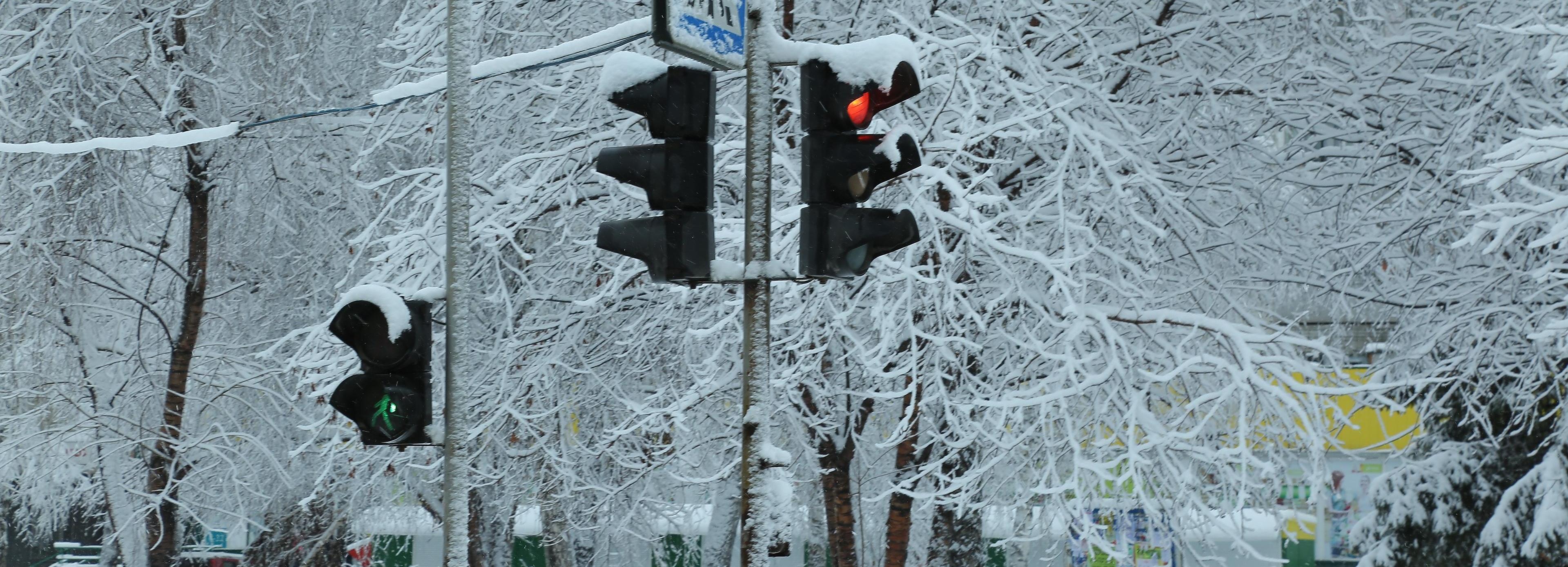 На Восходе снесут аварийные ели, яблони, берёзы и рябины