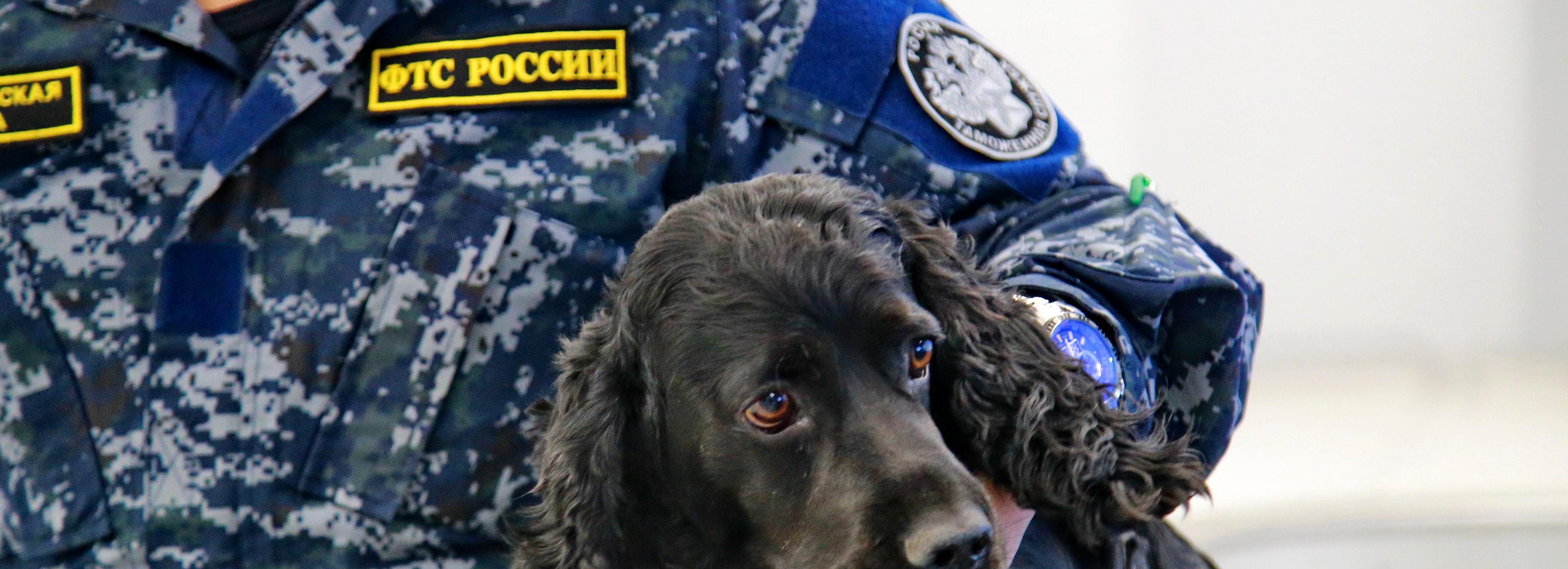 17 000 пачек нелегальных сигарет изъяли из киосков в Новосибирске