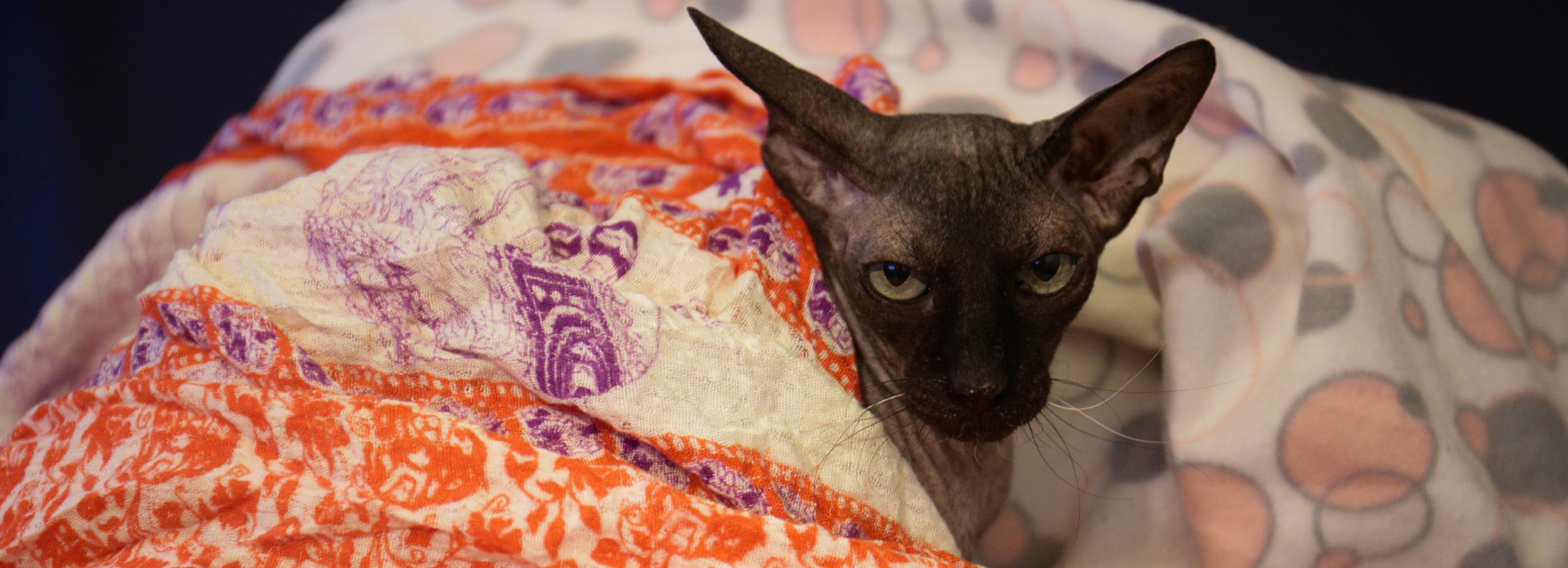 В СГК объяснили проблемы с отоплением на левом берегу Новосибирска