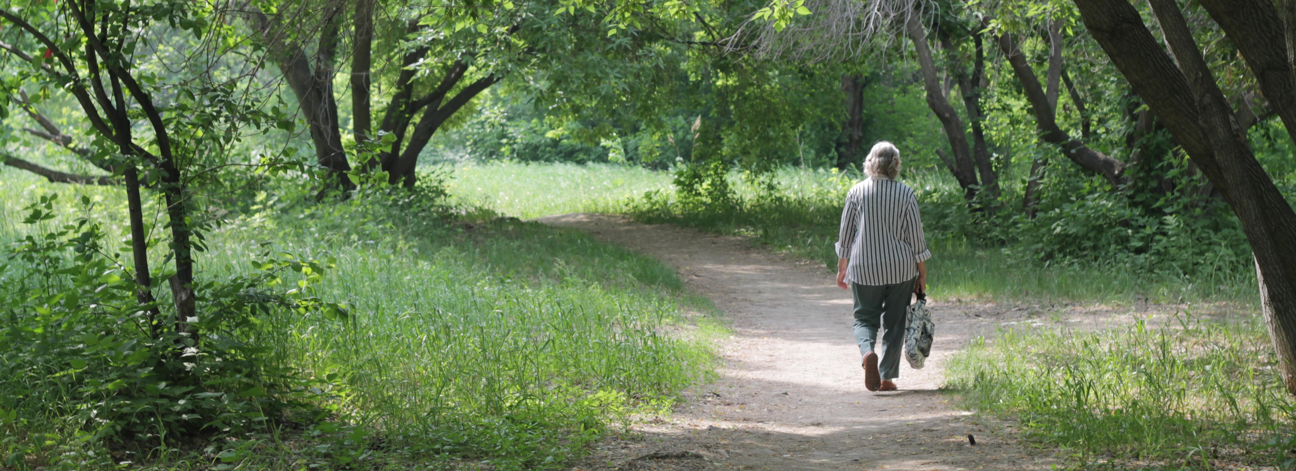 Объявили повторный аукцион на благоустройство сквера Демакова
