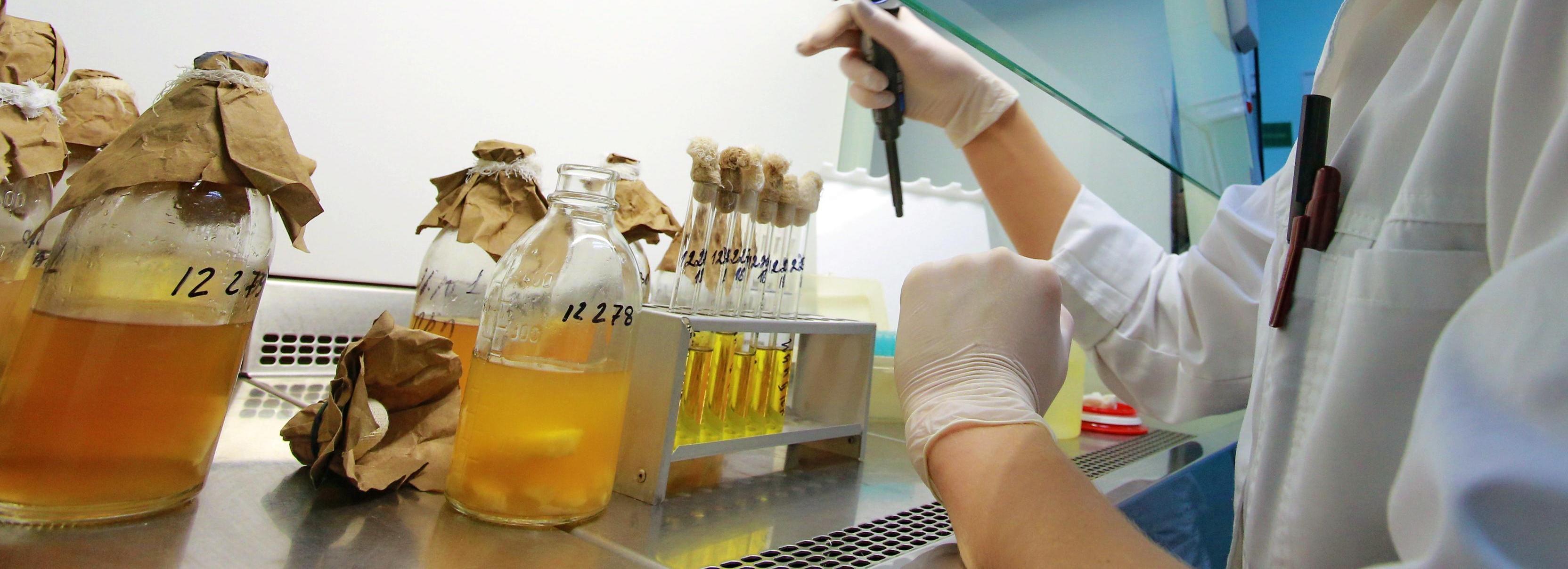 Молодые учёные посоревнуются за премии мэрии в 100 тысяч рублей