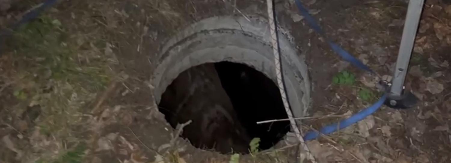 Провалившегося в колодец лося спасают в Первомайском районе