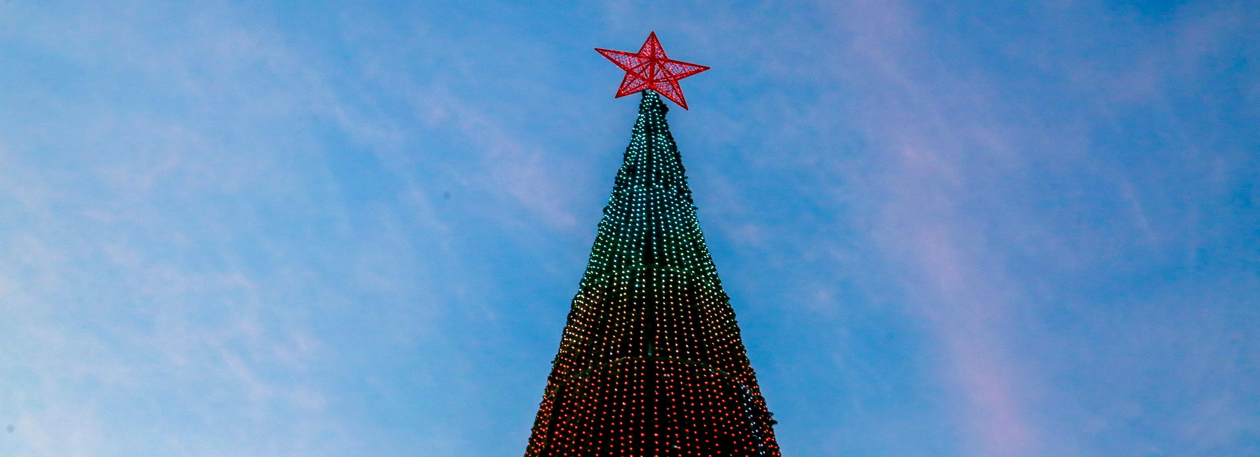 Каток и интерактивная ёлка появятся к Новому году в парке «Арена»