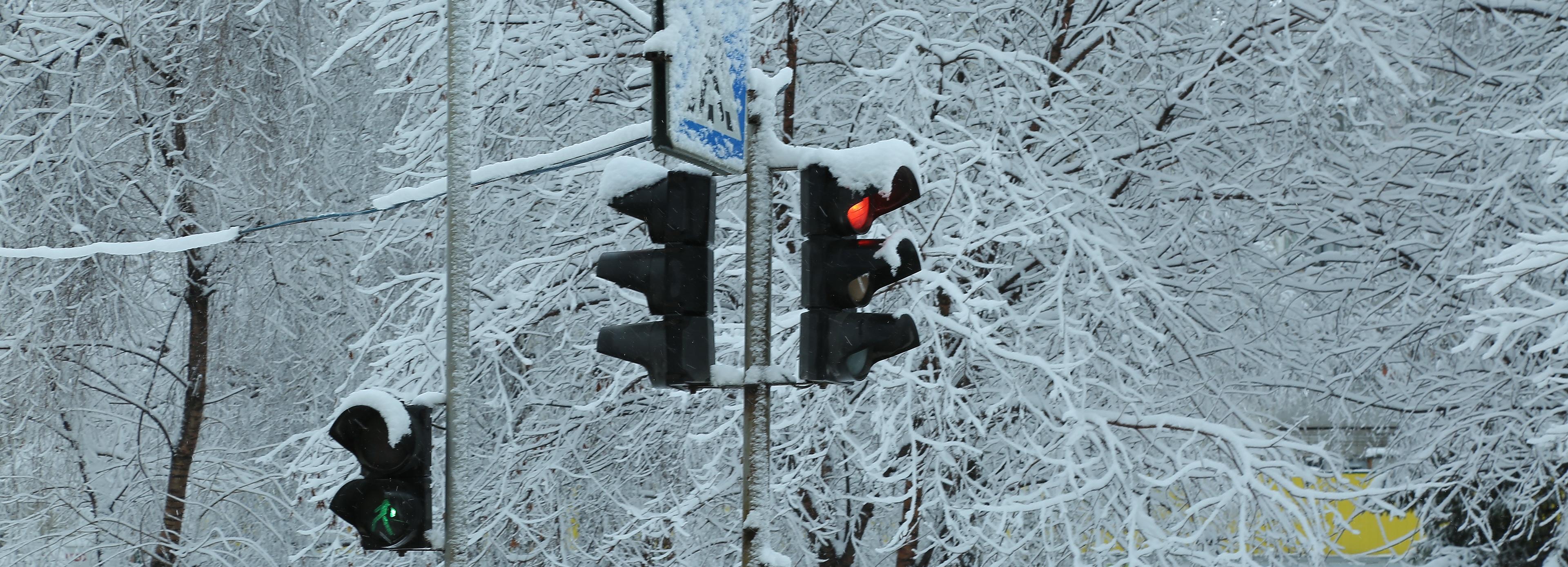 Электричество восстановили после непогоды в Новосибирской области