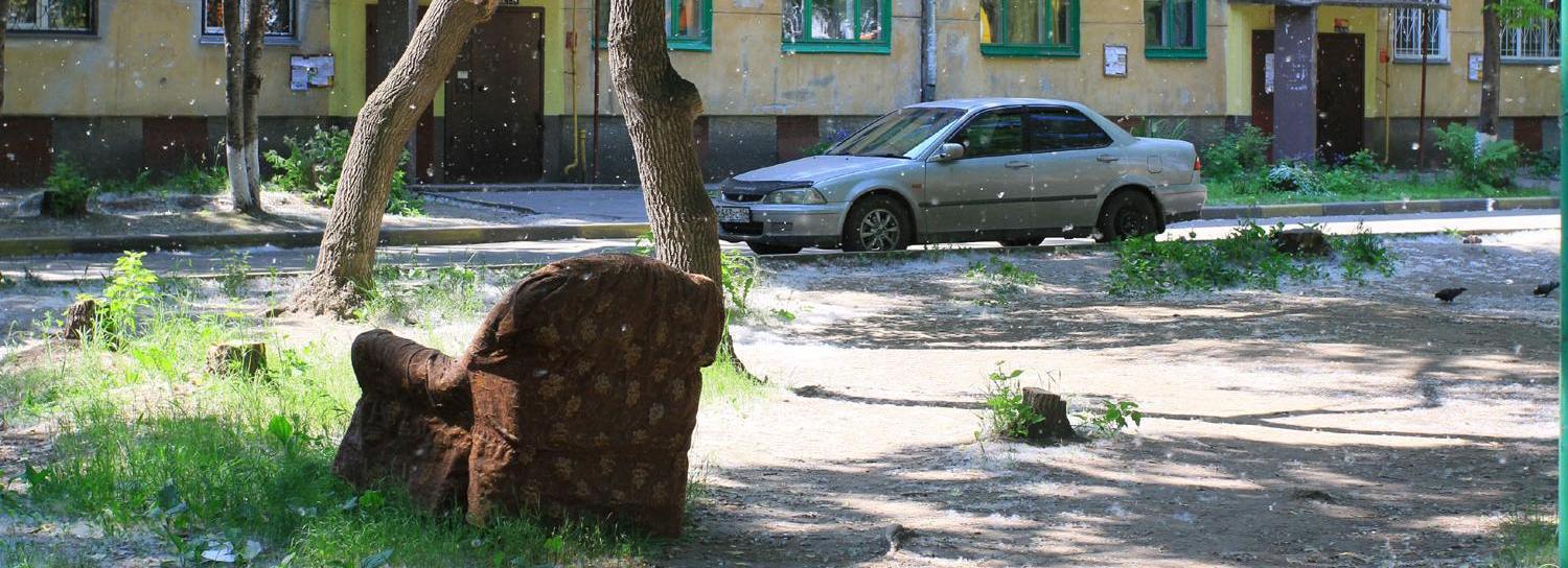 Внимание, пух: в Новосибирске наступает сезон цветения тополей