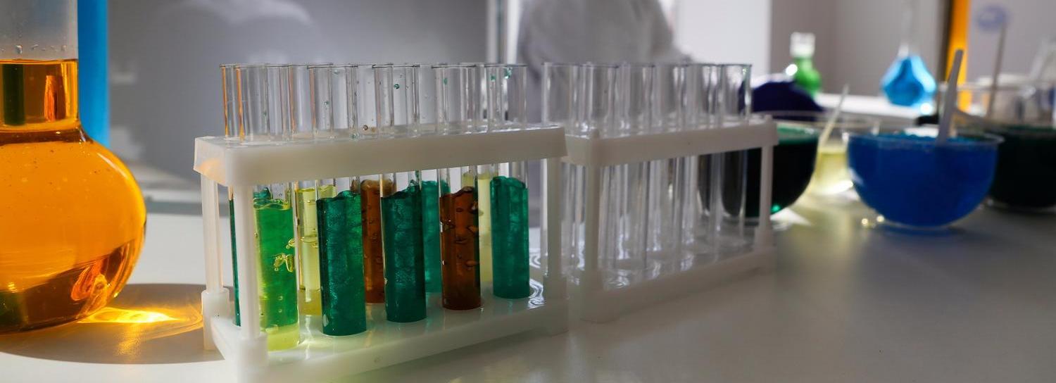 «Лабораторию мутаций» откроют на фестивале «48 часов Новосибирск»