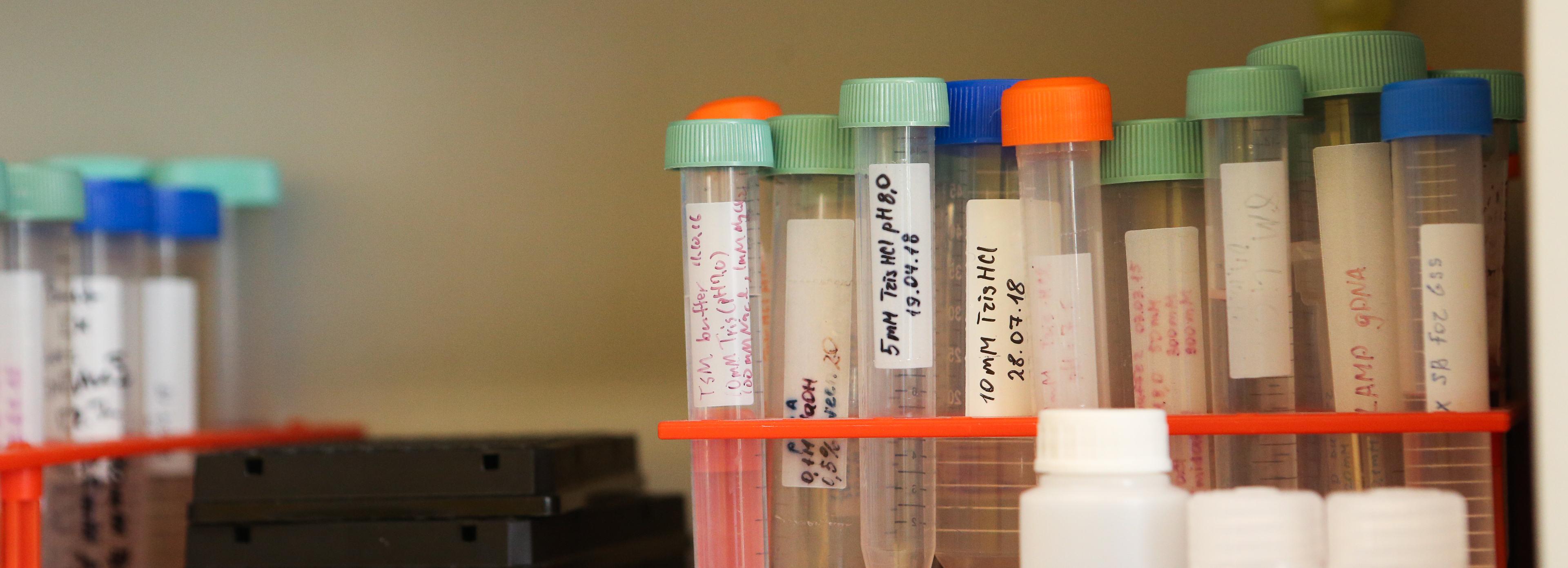 Памятную доску эпидемиологу Марии Батычко установят в Новосибирске