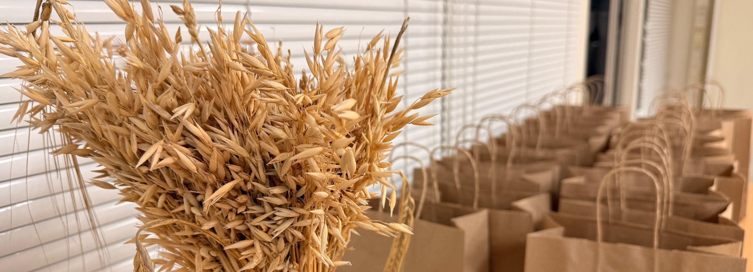 Экскурсия на «Балтику»: чем новосибирский завод готов удивить туристов