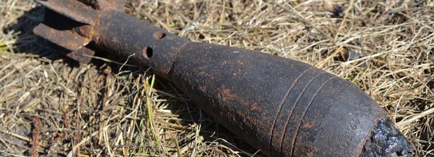 Корпус мины 40-х годов нашли во дворе школы в Новосибирске