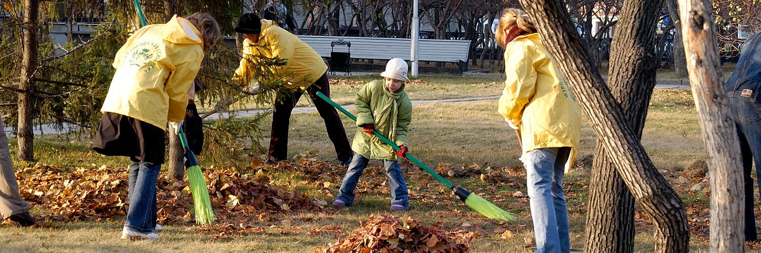 Пал и пропал: что делают с опавшими листьями в Новосибирске