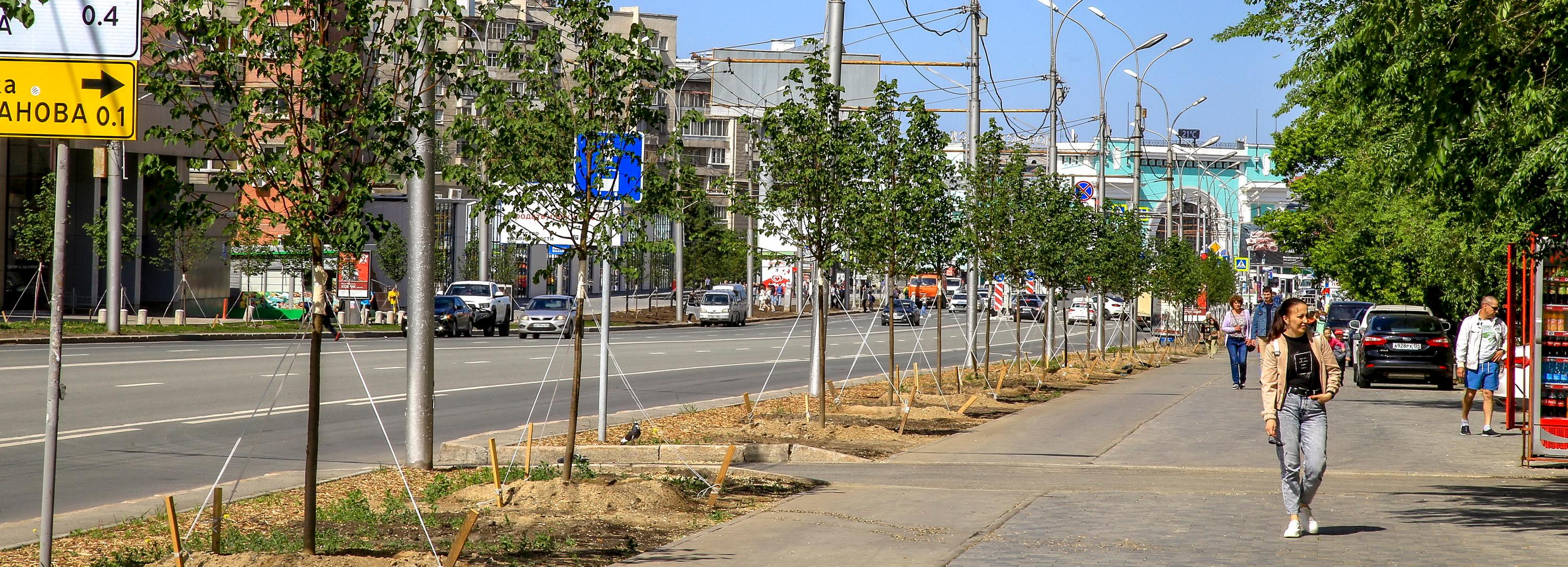 Светлана Гижицкая: «Комфорт на улицах создают растения»