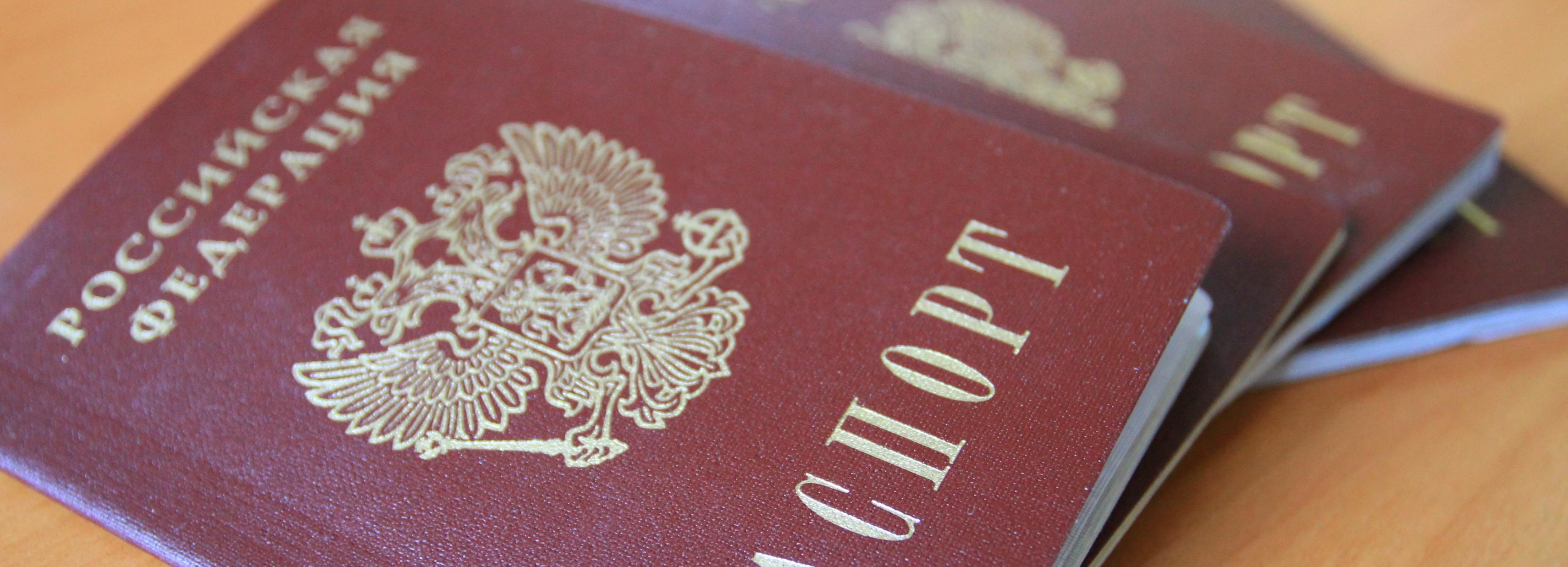 В Бердске иностранец получил паспорт РФ за участие в спецоперации