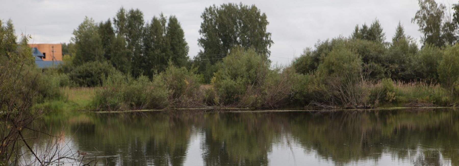 На торги выставили ещё три земельных участка в микрорайоне «Клюквенный»