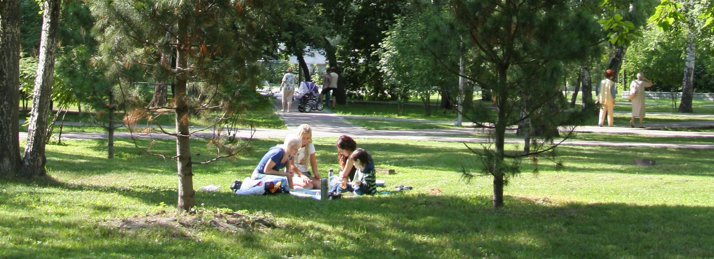 Кто такой Михаил Михеев, чьим именем хотят назвать сквер в Новосибирске