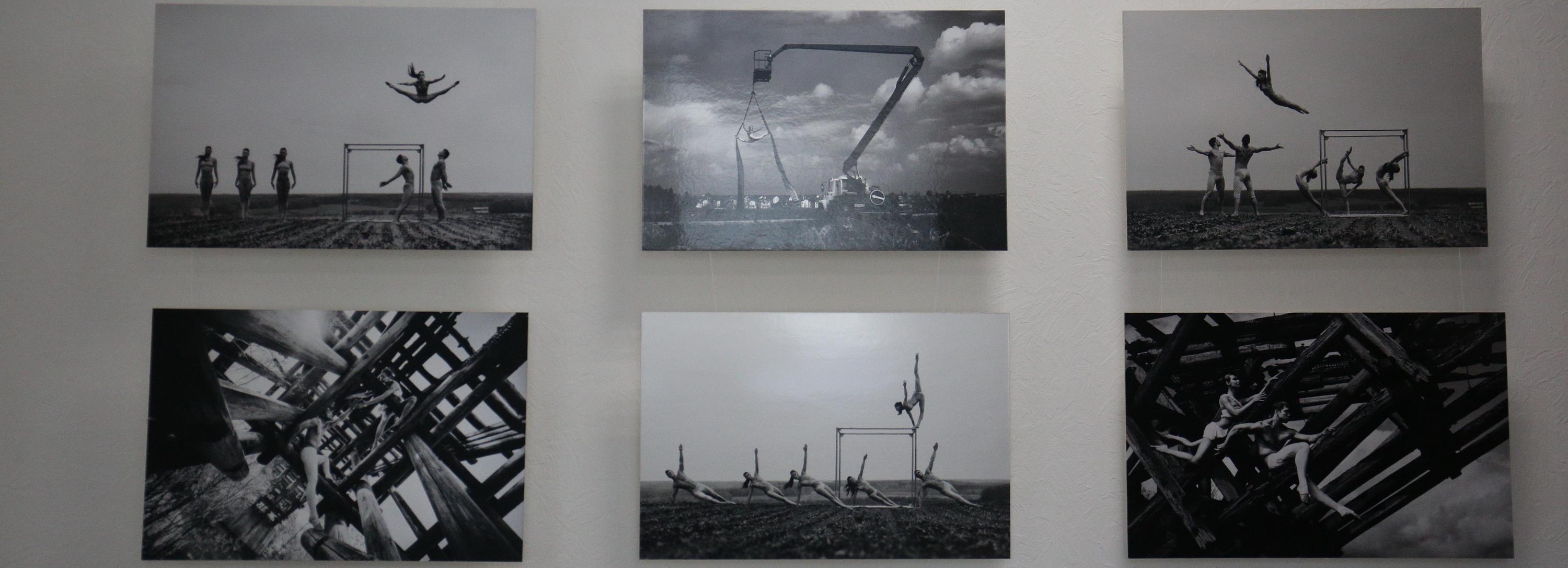 Бегом на съёмку: конкурс фотографий о спорте объявили в Новосибирске