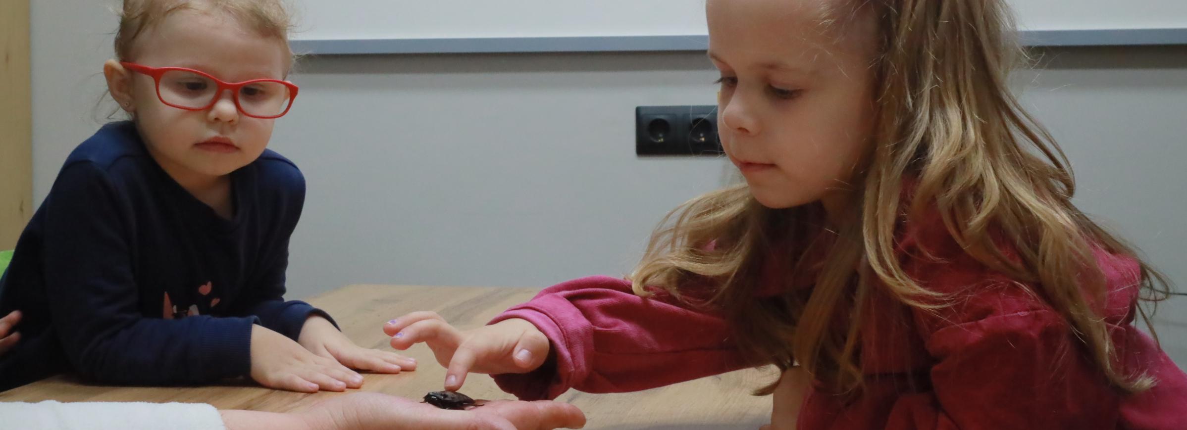 Уроки с милыми тараканами проводят для детей в Новосибирске: смотрим фото