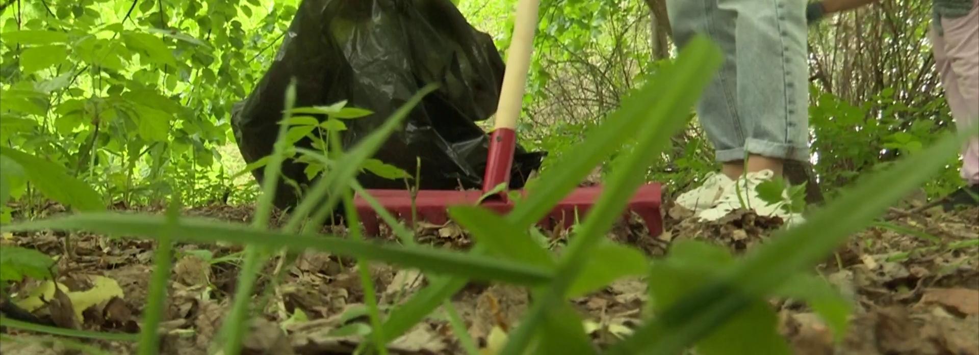 Соревнования по сбору мусора устроили на набережной ОбьГЭСа