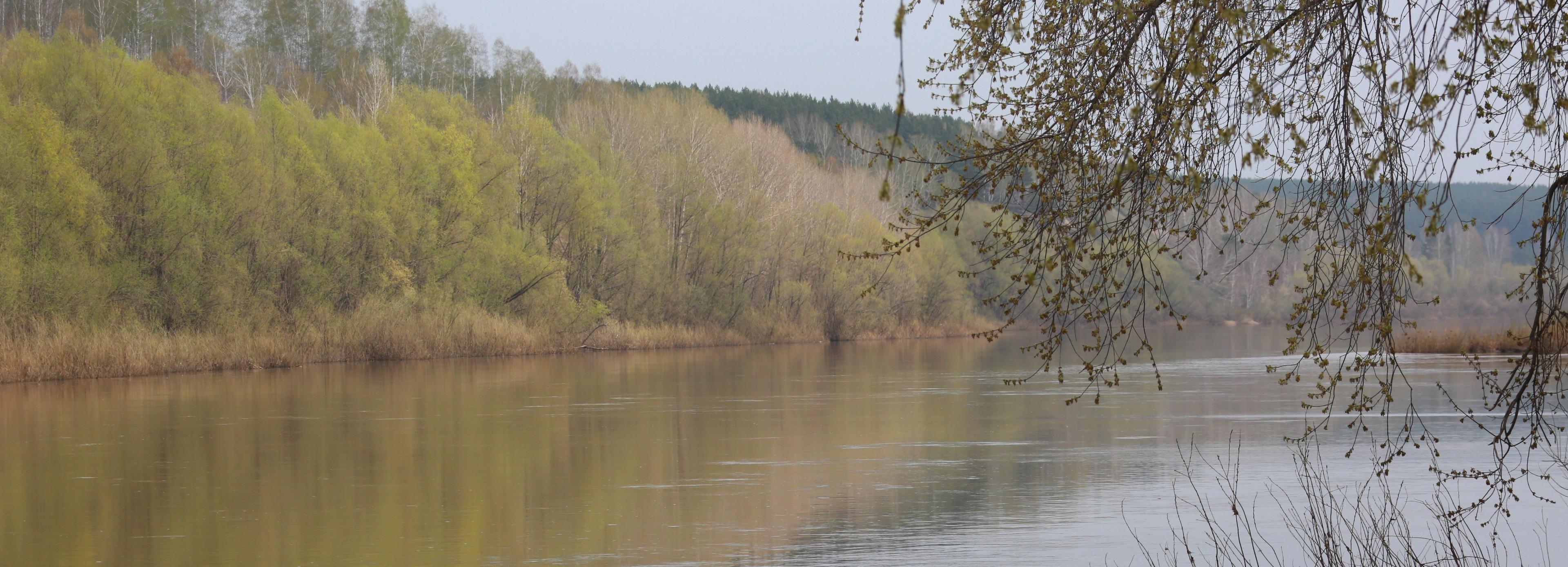 Смотри и выбирай: волонтёры помогают проголосовать за парк в пойме Ини