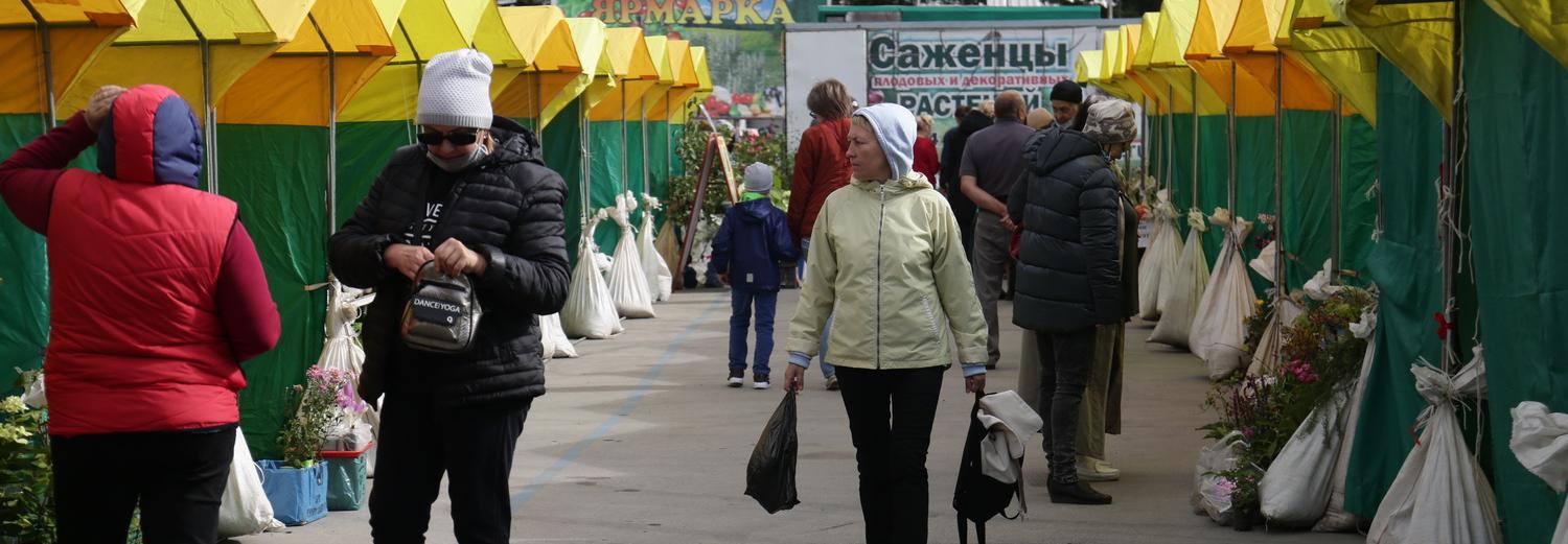 Ярмарку четырёх районов и Бердска развернут у ДК имени Горького