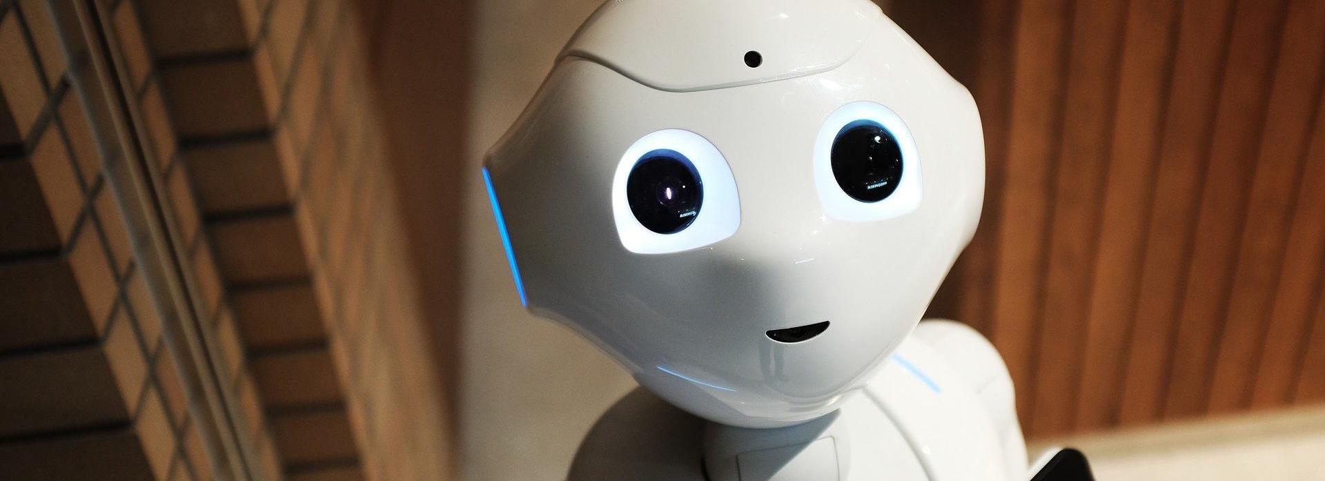 Робот Николай ответит на вопросы новосибирцев о детском кешбэке