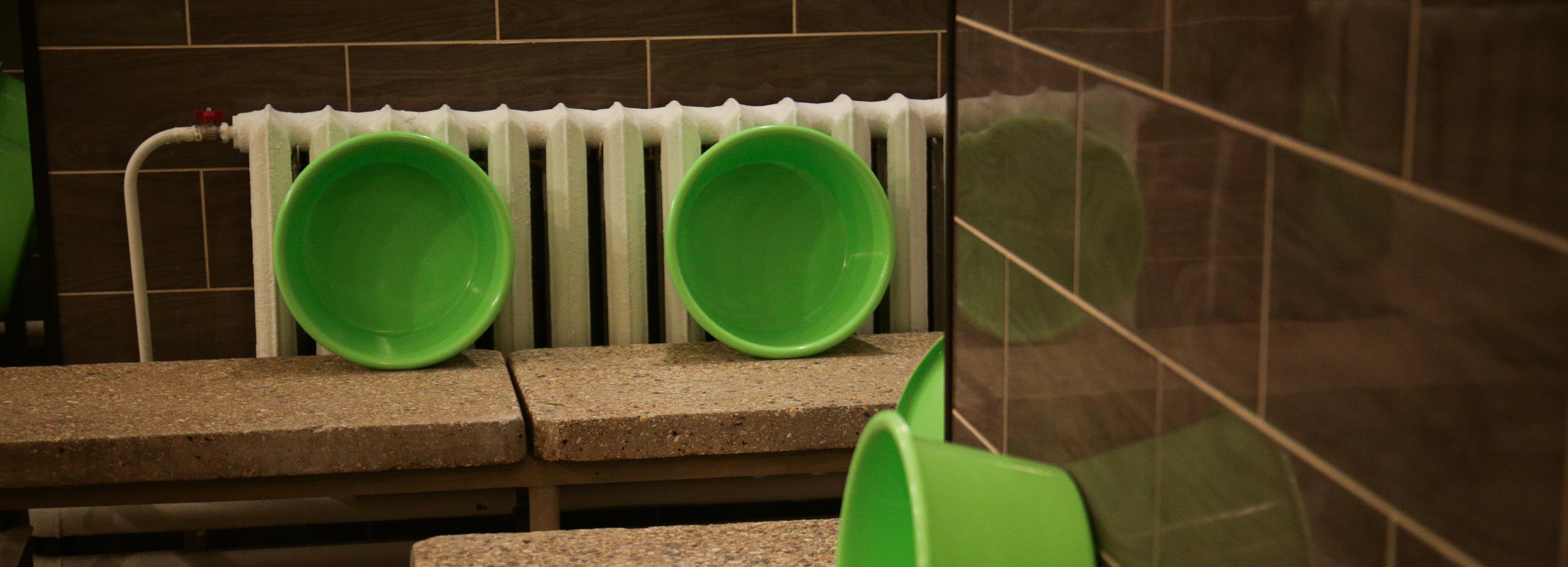 Депутаты оценили комплексный ремонт бани на улице Чекалина