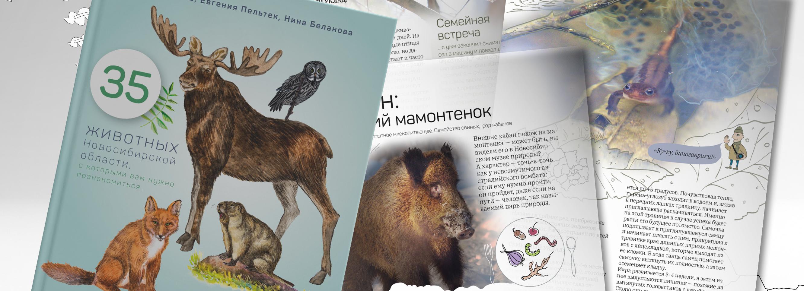 В Новосибирске разыскивают бобра на фотосессию для книги о животных