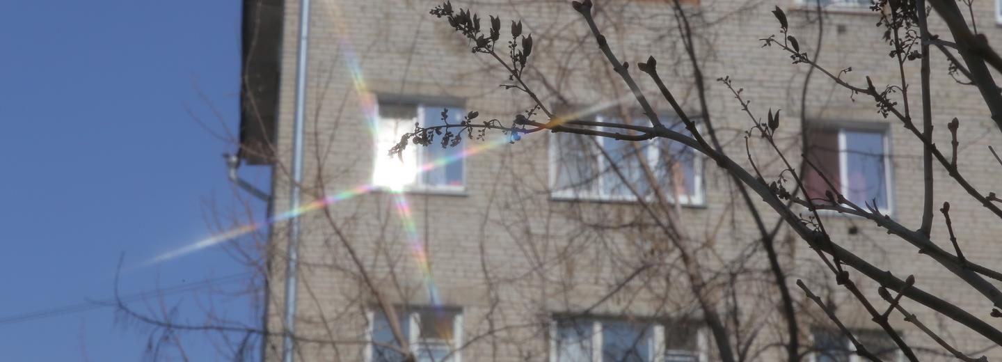 Новосибирские семьи вызвались приютить беженцев из Донбасса