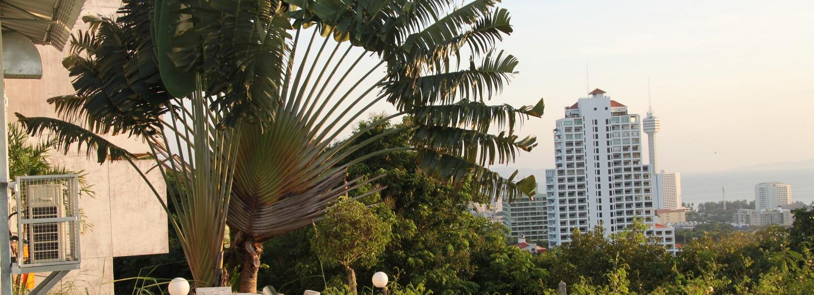 Новосибирская неделя: умный город, расхламление и безумно дорогой отпуск