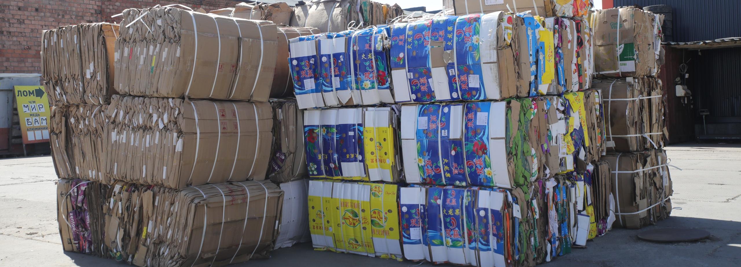 В синие контейнеры попали 20 тонн макулатуры: лидирует гофрокартон