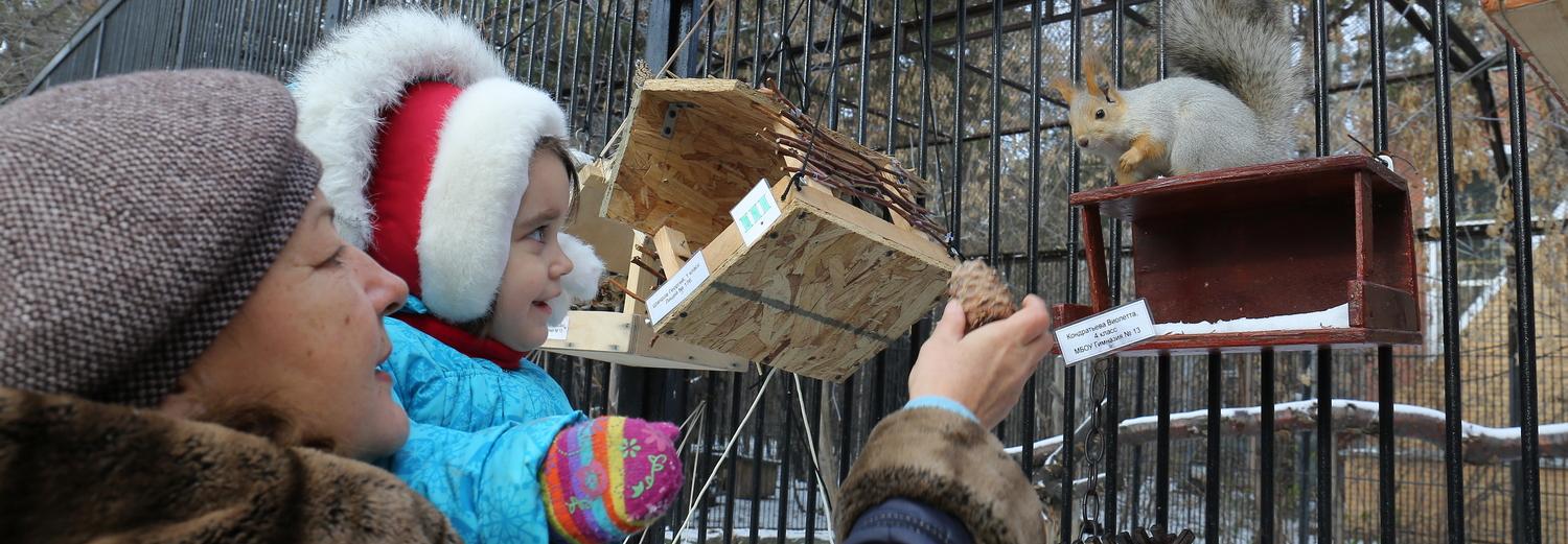 Зоопарк перенёс «Декаду пожилого человека» из-за коронавируса