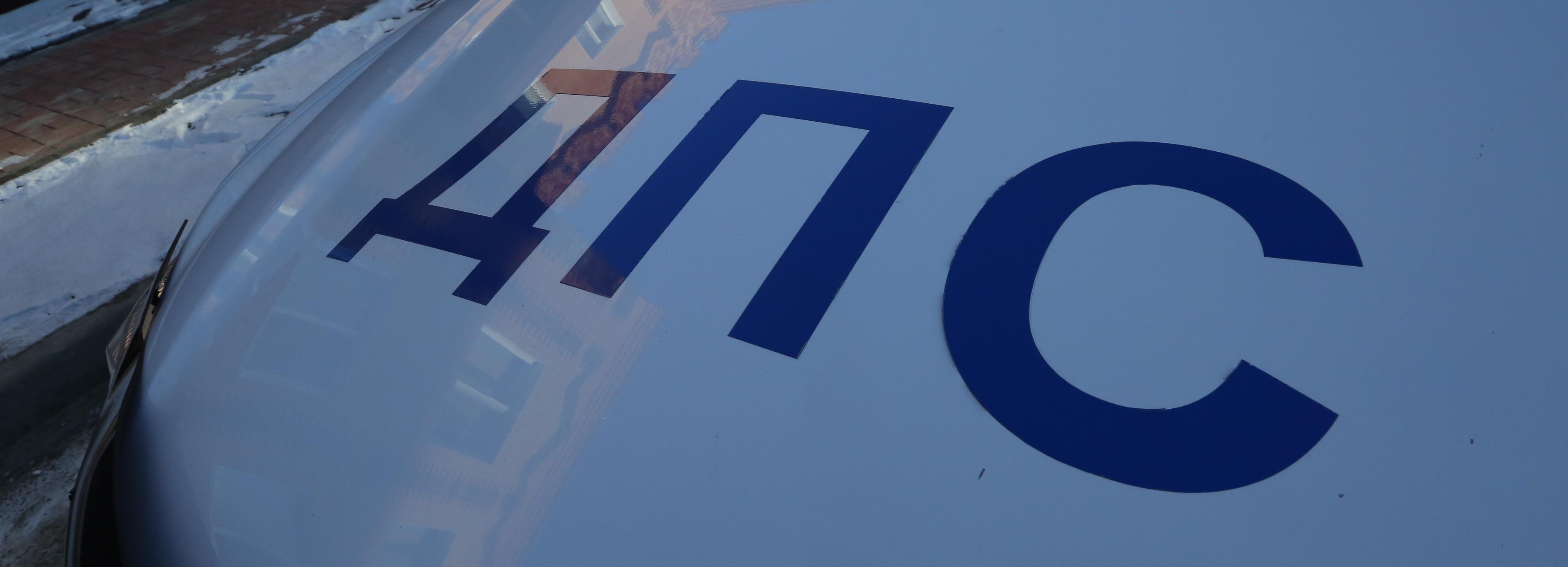 Четверо новосибирцев украли чугунный забор у Берёзовой рощи