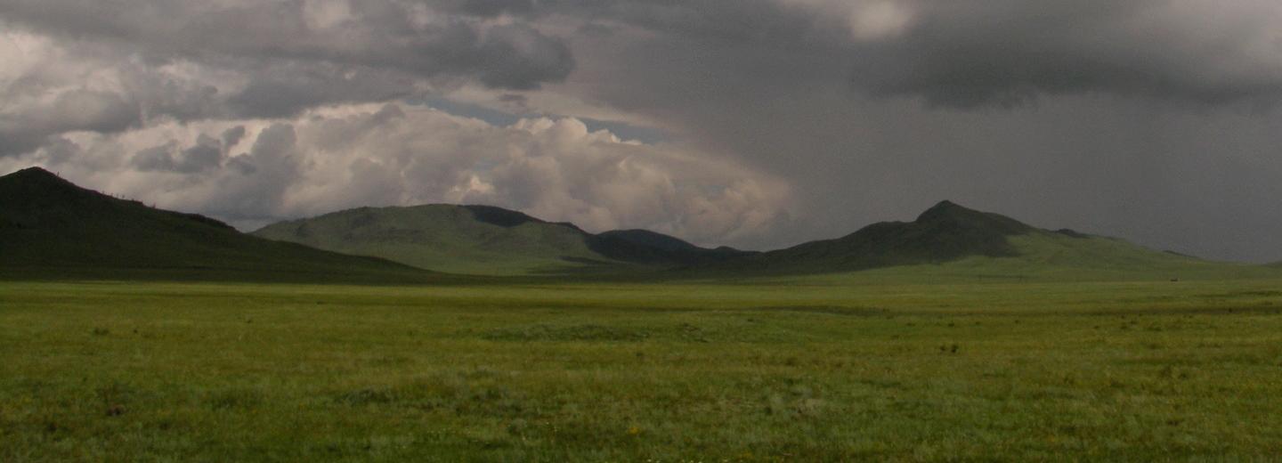 Три курганных могильника взяли под охрану в Новосибирской области