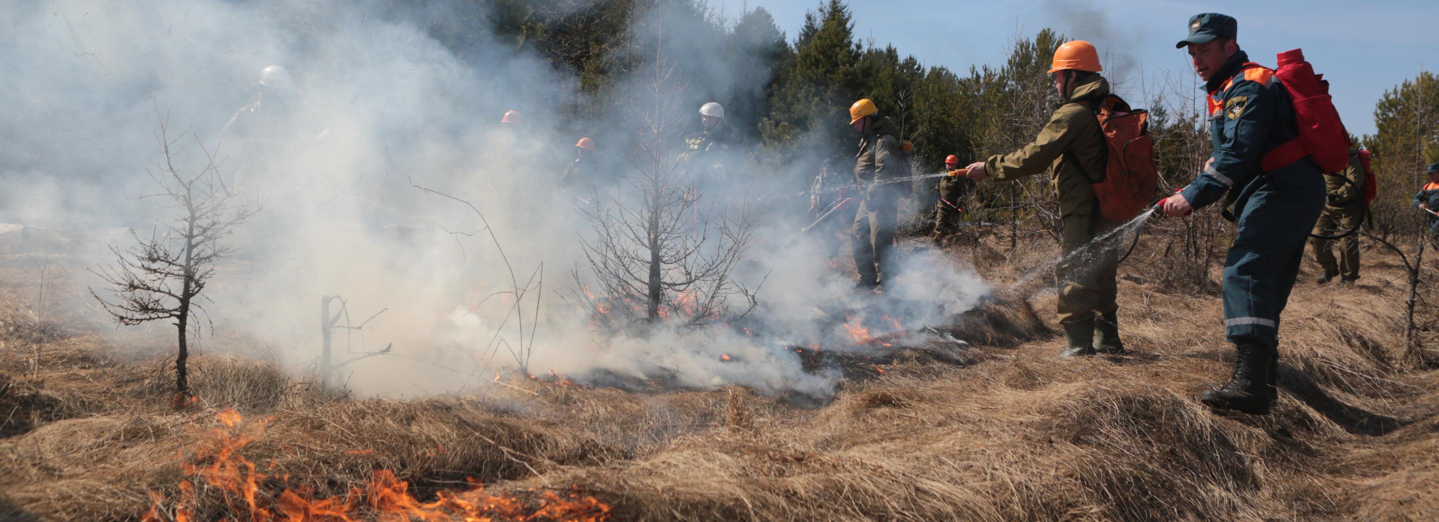 Пожароопасный сезон открывают 11 апреля в Новосибирской области