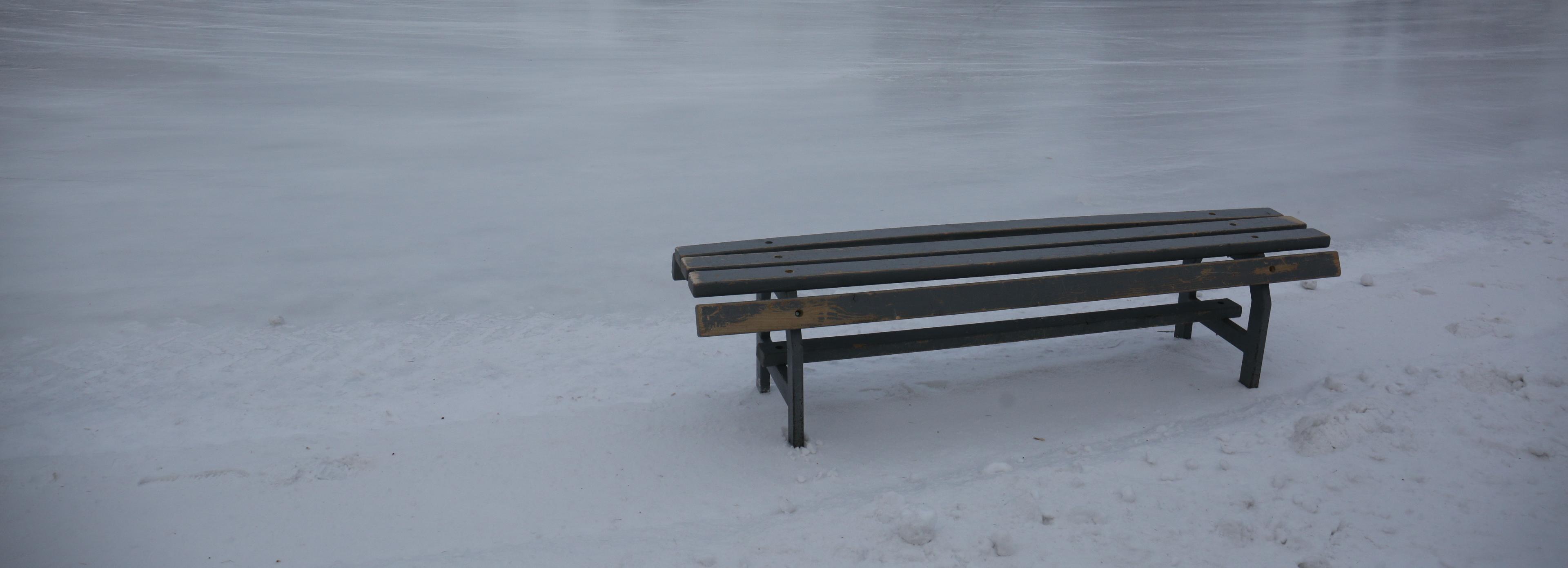 Два катка заработали на стадионе «Чкаловец» в Новосибирске