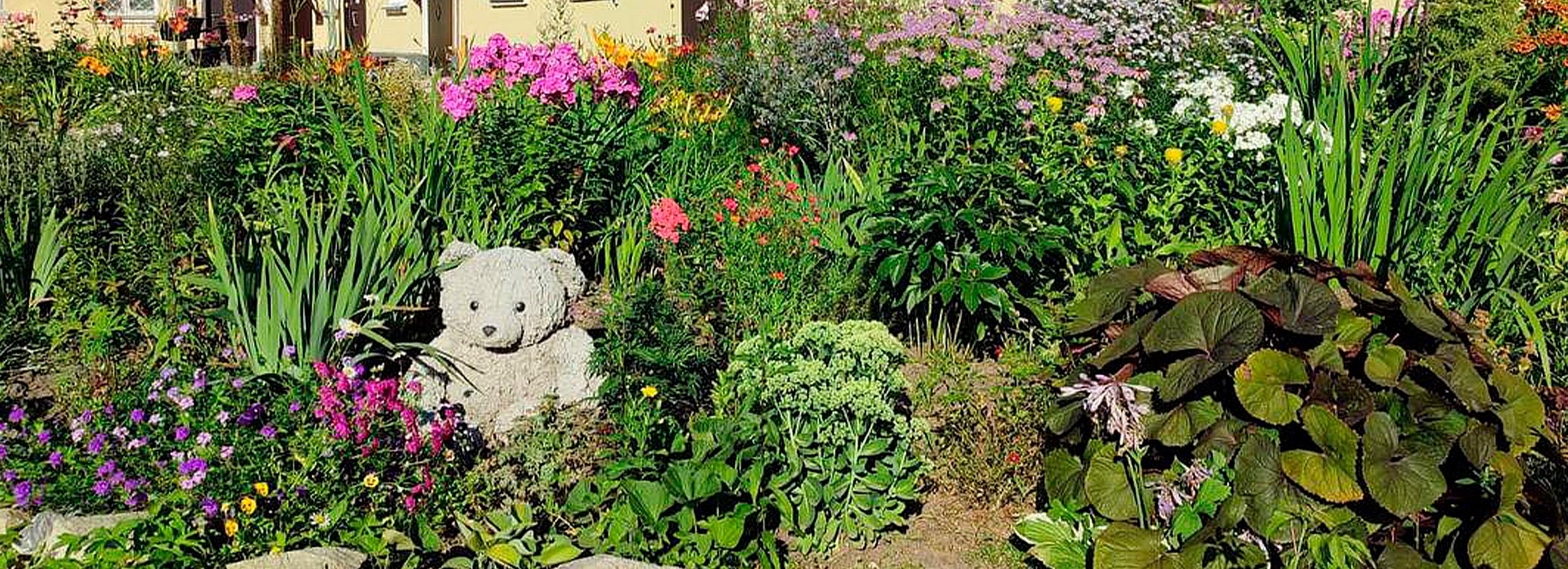 Лучшую дворовую клумбу выберут в Новосибирске народным голосованием