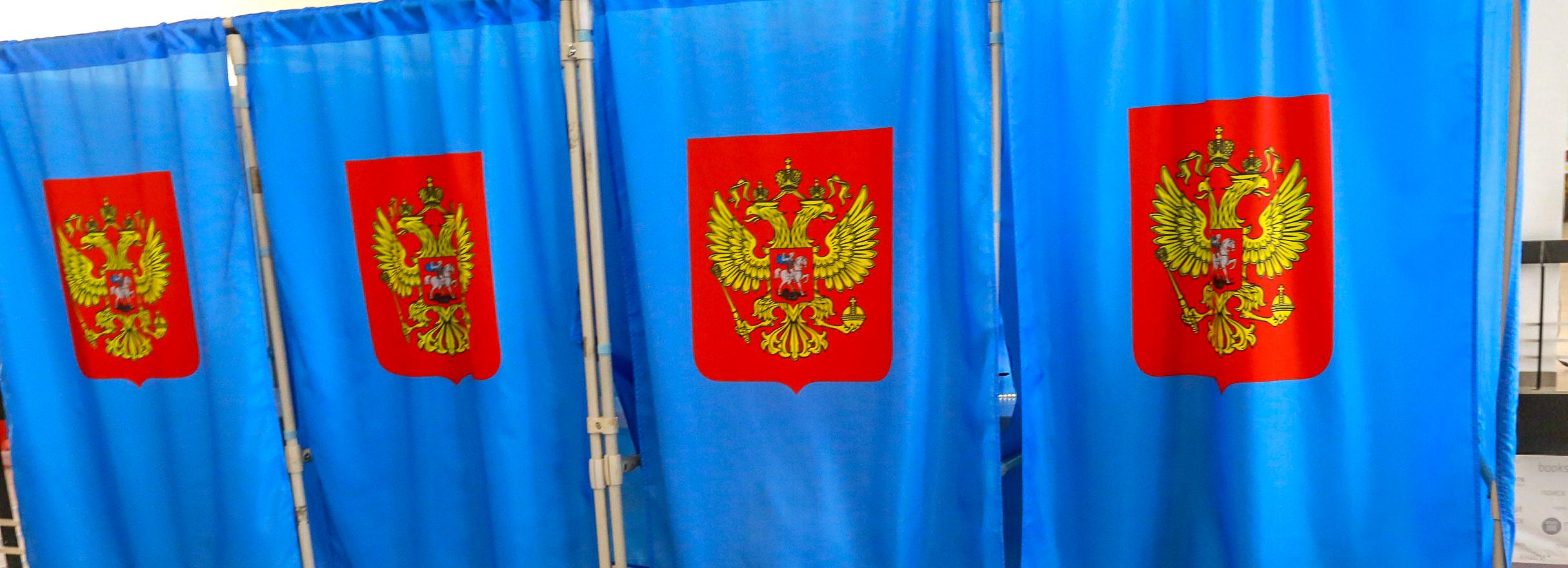 Почти 200 тысяч новосибирцев проголосовали дистанционно