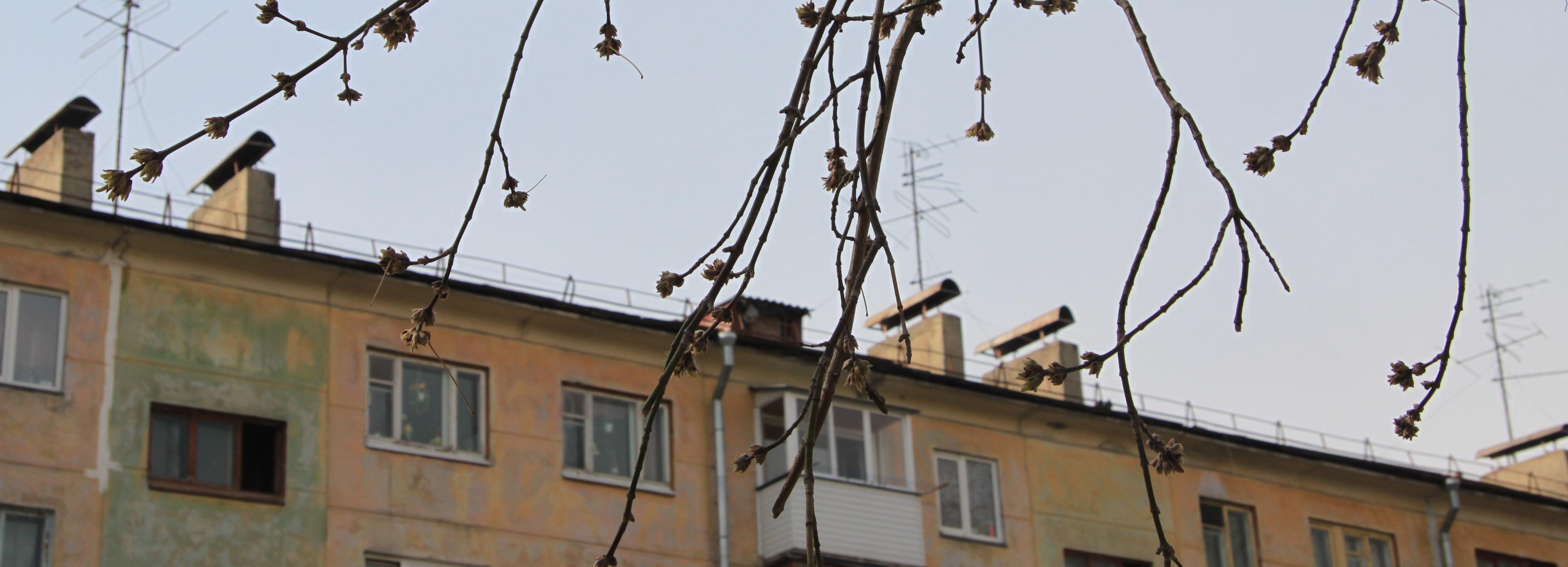 Астрономическая весна наступает в Новосибирске