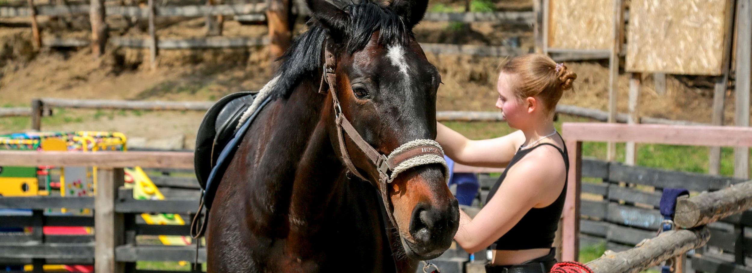 Если вы пропустили: гигантский пролёт, лошадиная история и «зелёная» тема