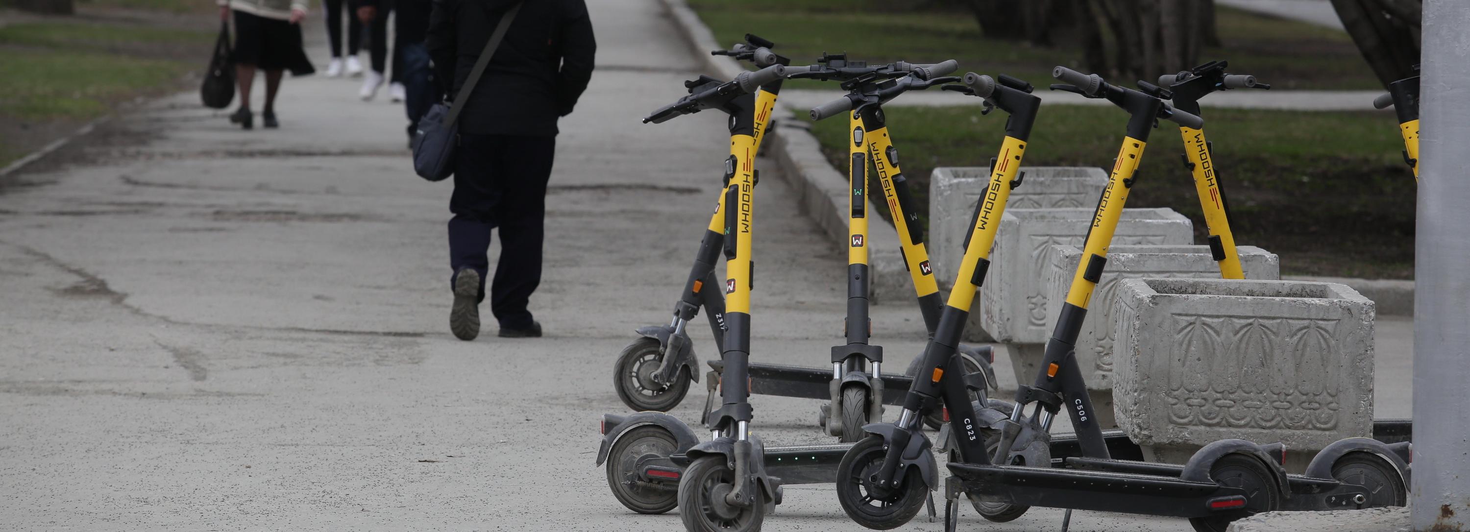 Лаврентьев из Whoosh восстановит сеть велодорожек в Академгородке