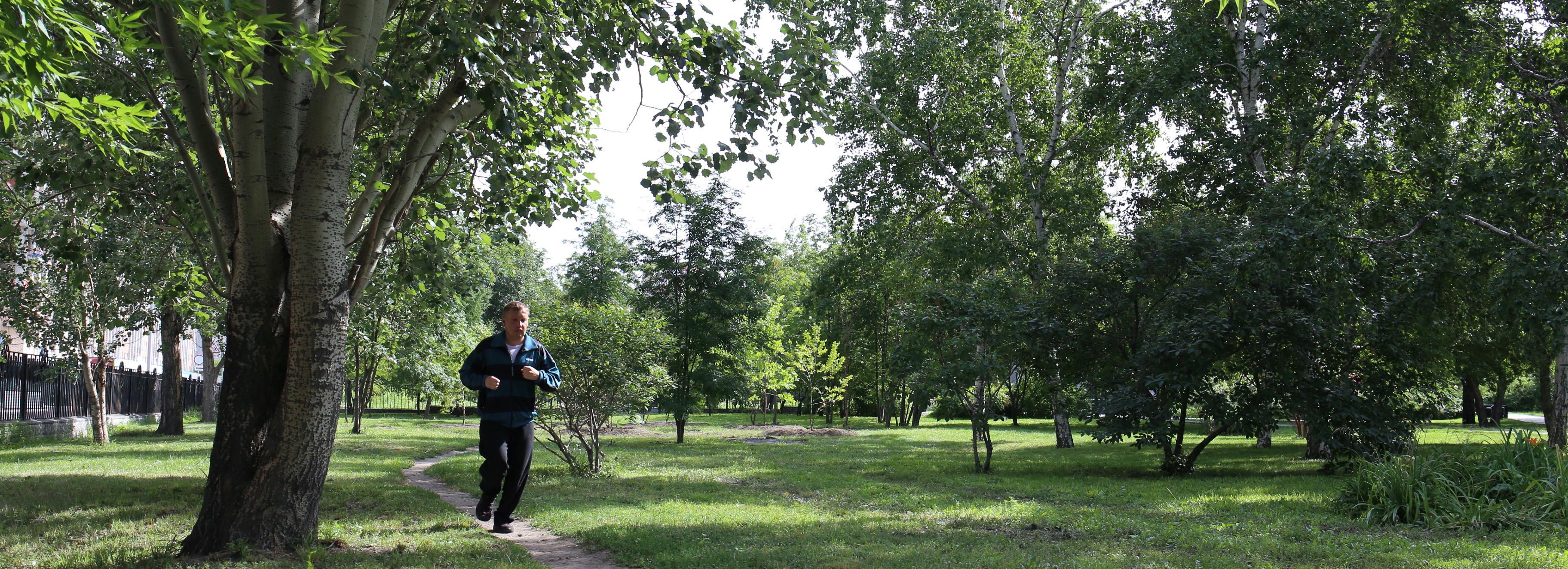 В Нарымском сквере вырубят все аварийные деревья