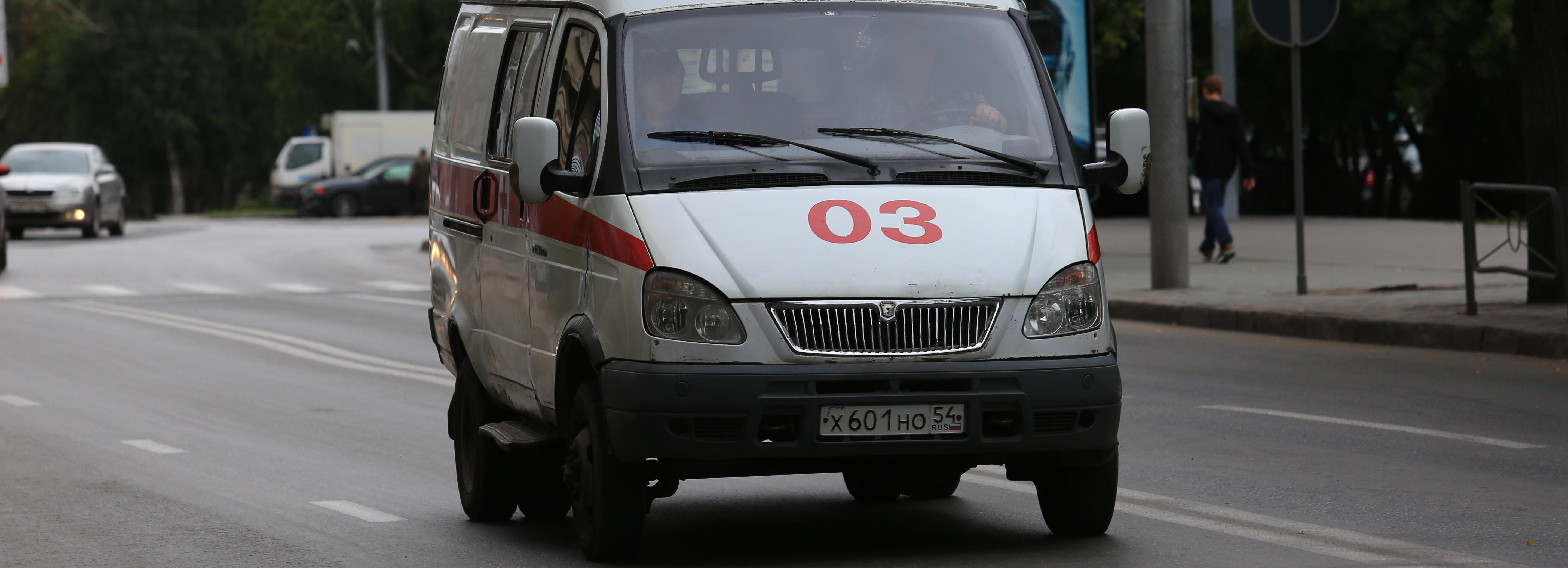 Клещи заразили энцефалитом 69 жителей Новосибирской области