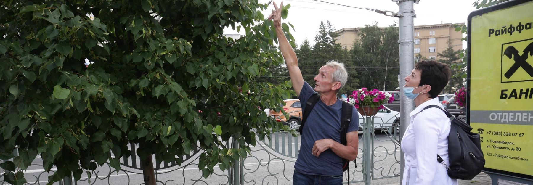 Сеть для общения между агрономами создадут в Новосибирске