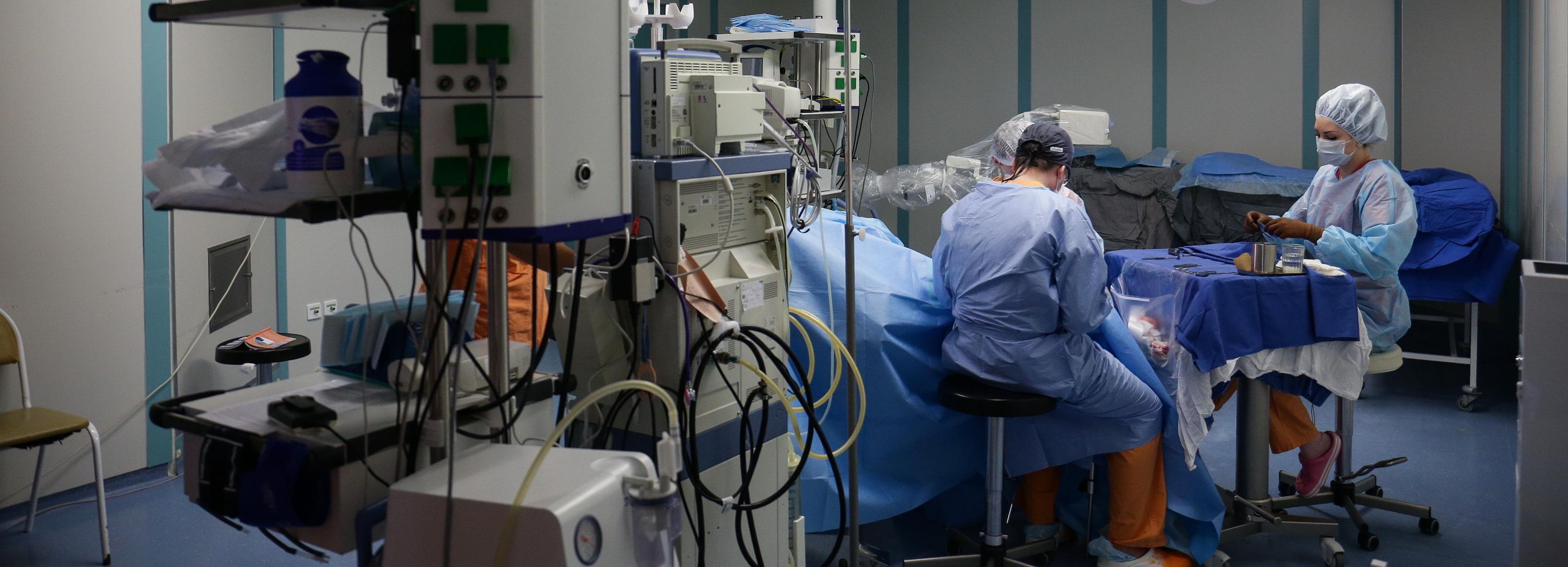 Миниатюрной пациентке с вывихом бёдер увеличили рост в Новосибирске