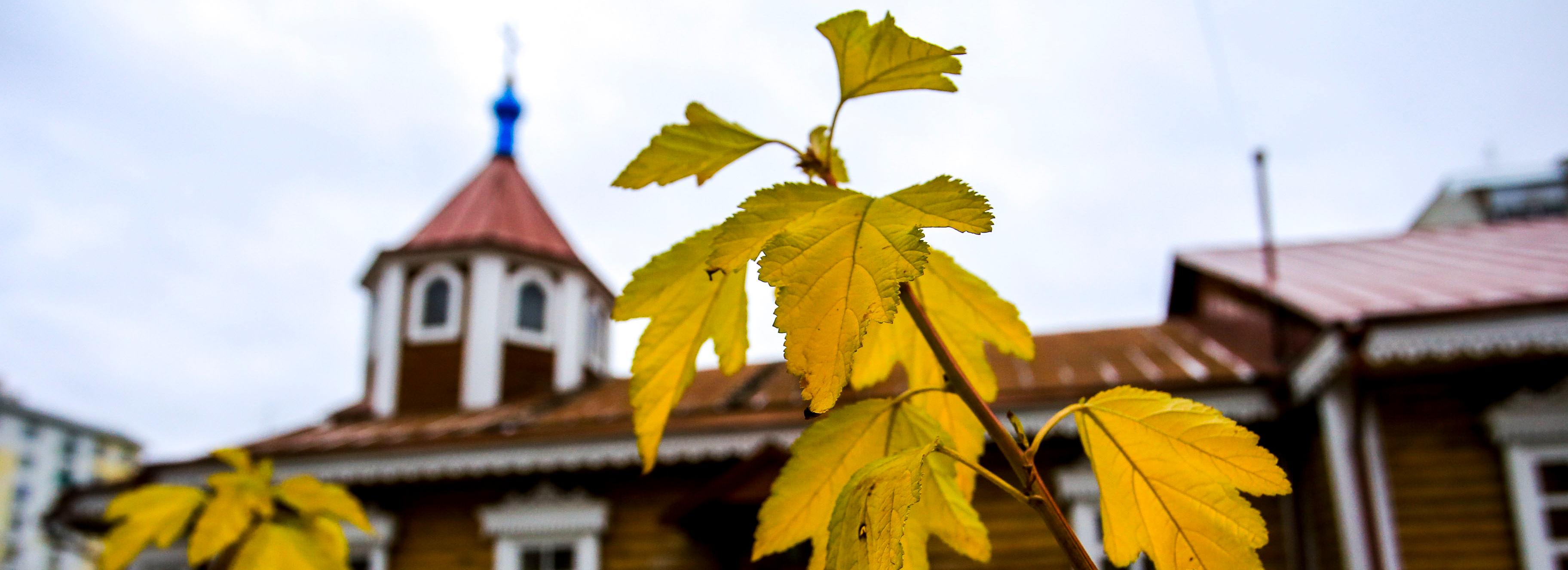 Синоптики назвали день, когда закончится бабье лето в Новосибирске