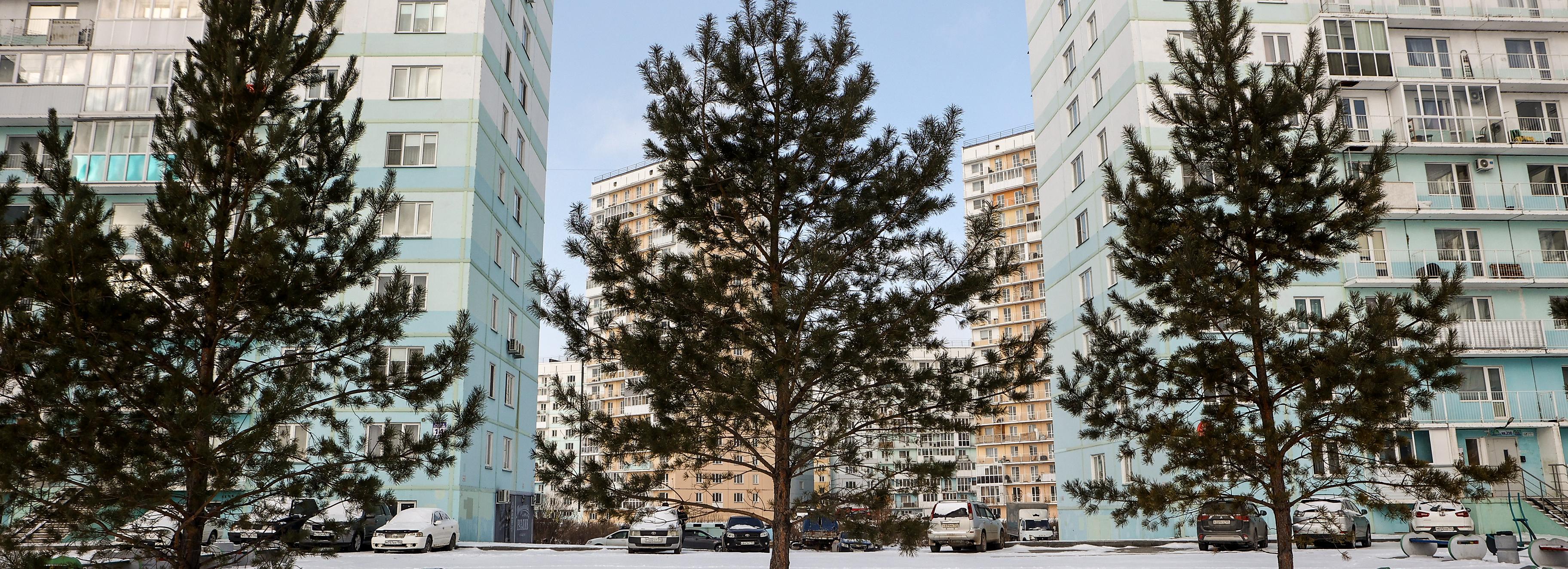 Если вы пропустили: собачьи танцы, грибная ферма и прогулка по «Бронксу»