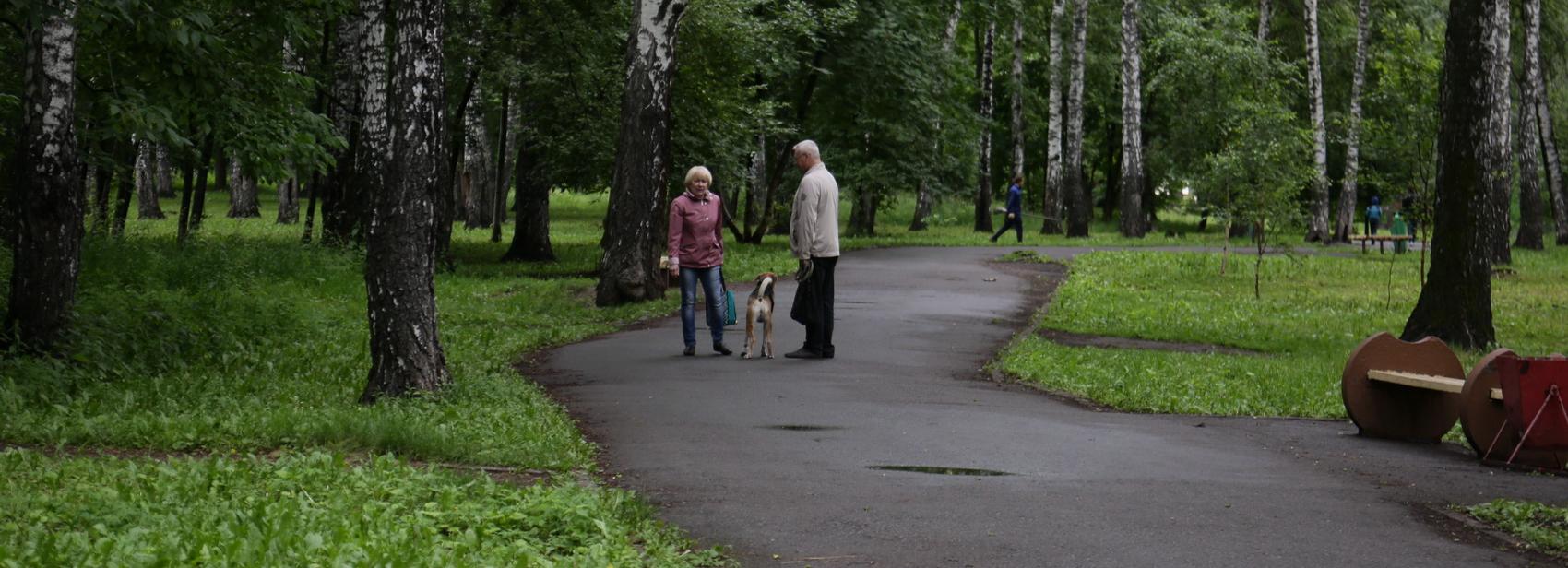 «Парк европейского уровня»: какой видят новосибирцы Берёзовую рощу
