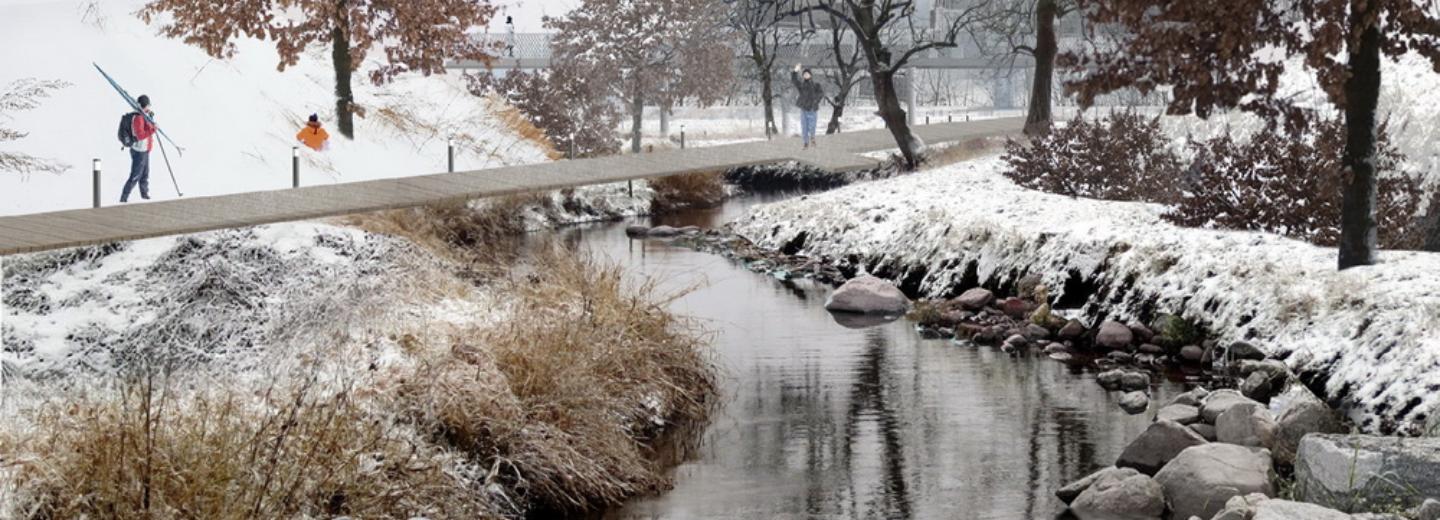 Зелёное голосование: побывать в гостях у бобров на Ельцовке