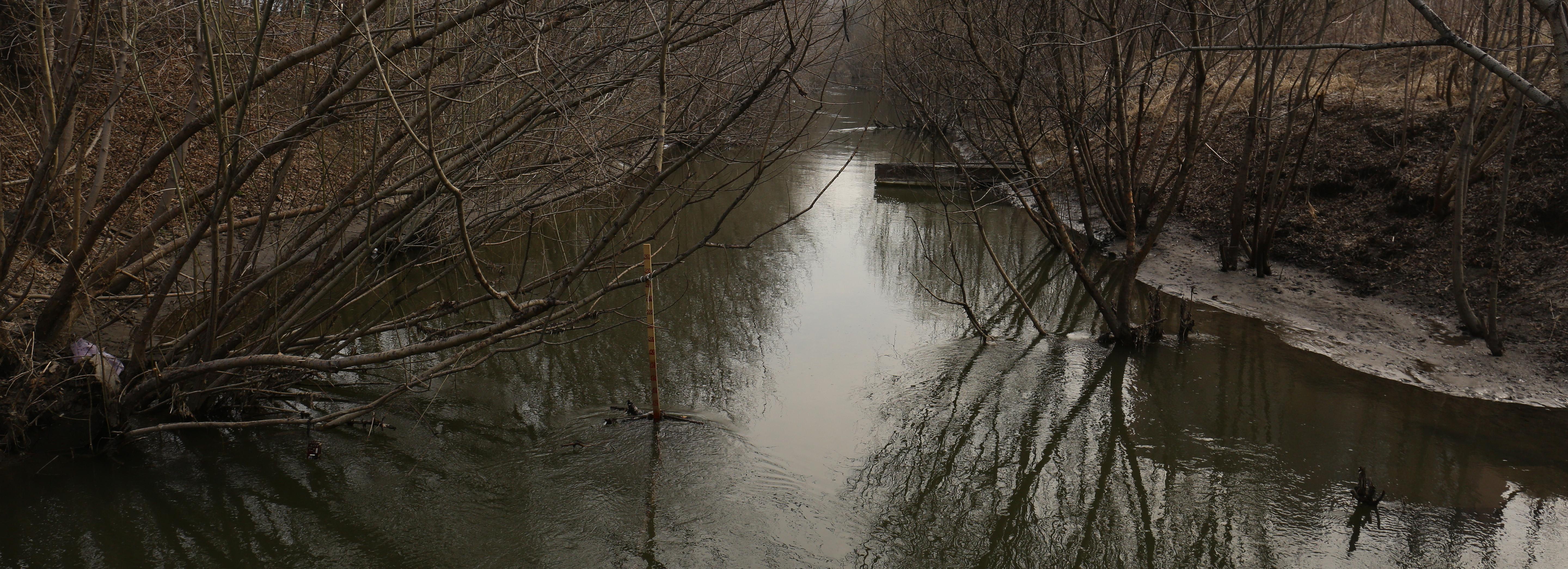 Канализацию построят для очистки реки Каменки в Новосибирске